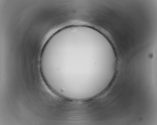 X0000113101231200908280944
