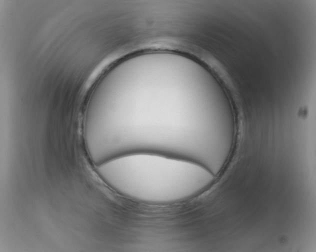 X0000113101232200908280944