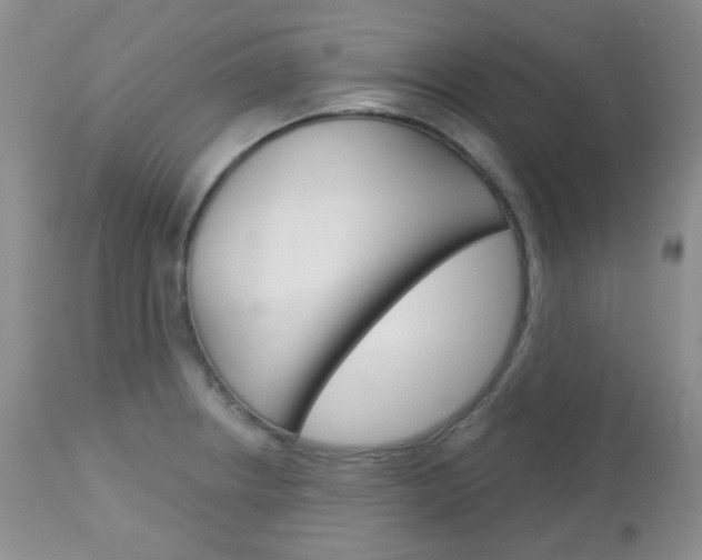 X0000113101234200908280944