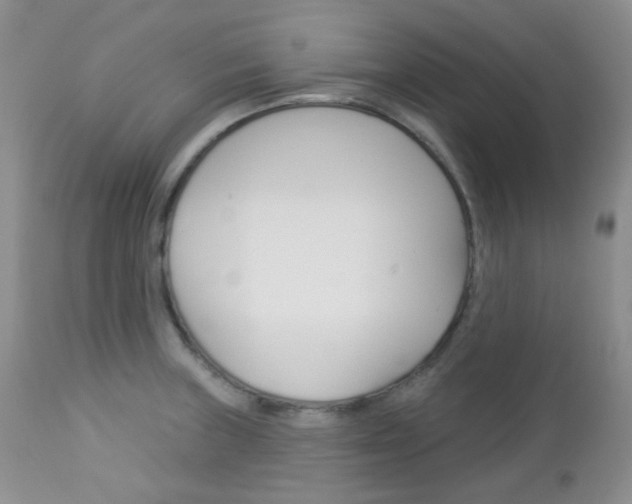 X0000113101235200908280944