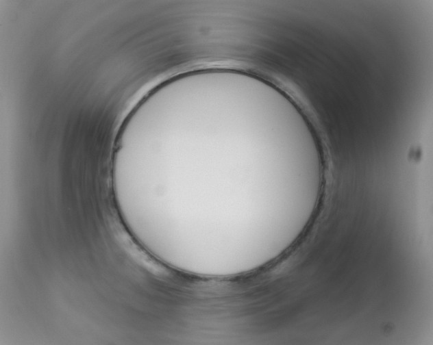 X0000113101236200908280944