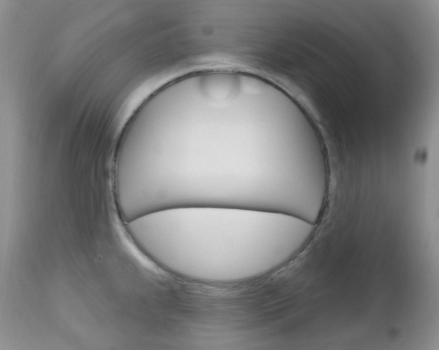 X0000113101239200908280944