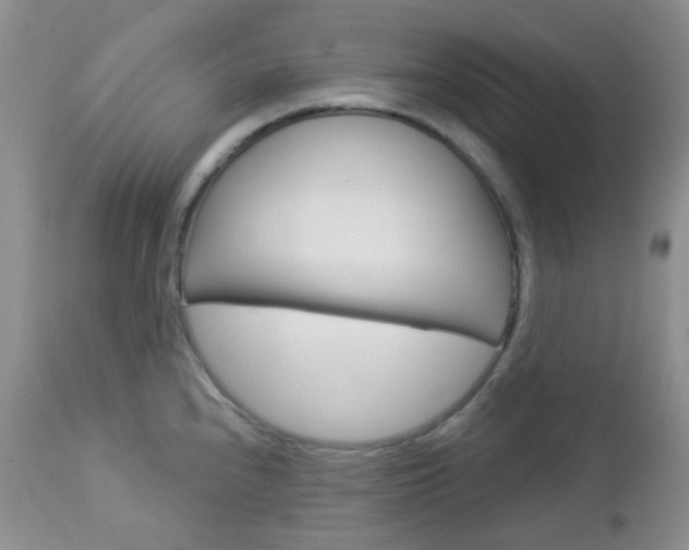 X0000113101240200908280944