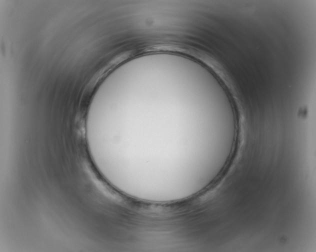 X0000113101241200908280944