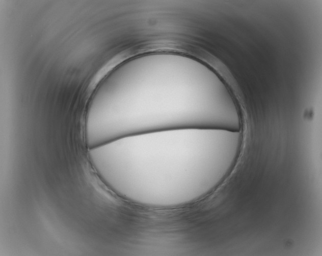 X0000113101242200908280944