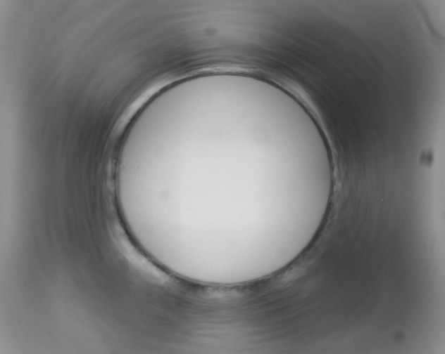 X0000113101243200908280944