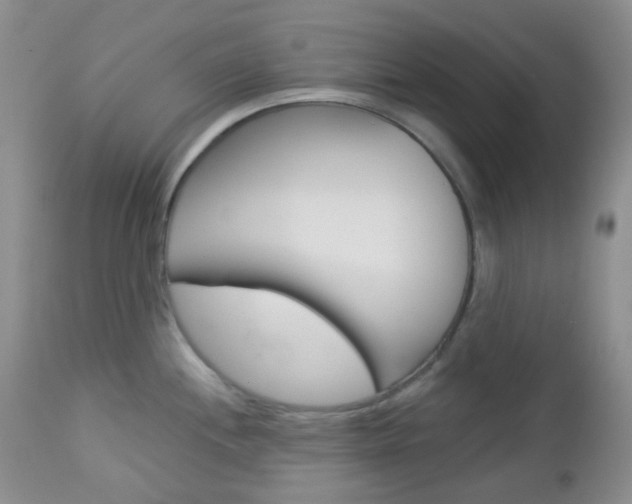 X0000113101244200908280944