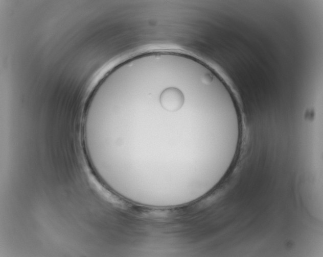 X0000113101245200908280944