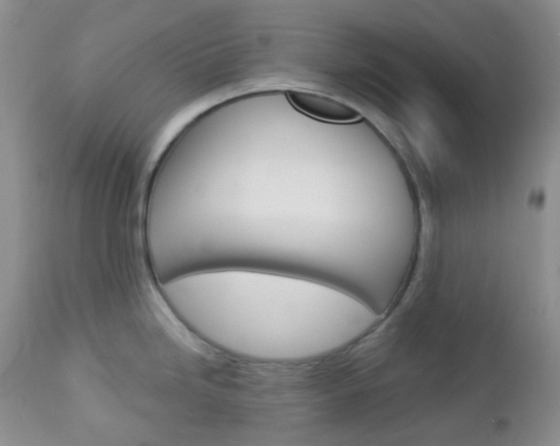 X0000113101246200908280944