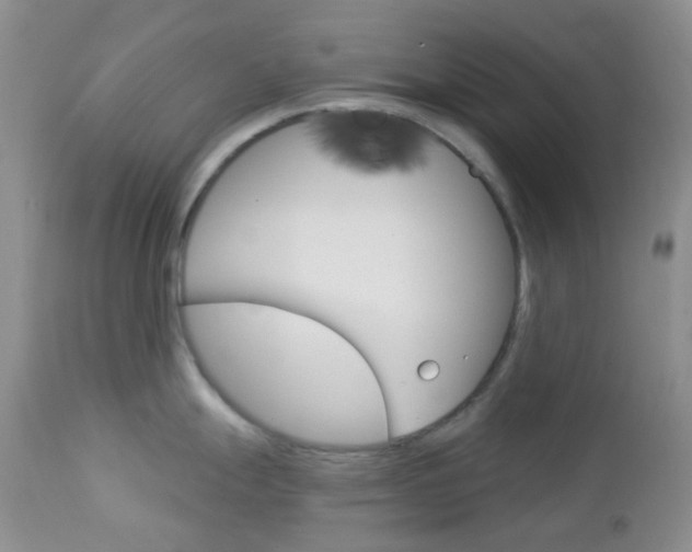 X0000113101247200908280944