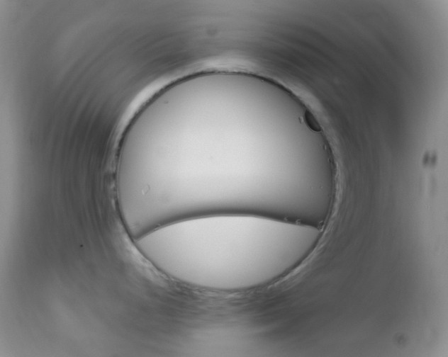 X0000113101248200908280944