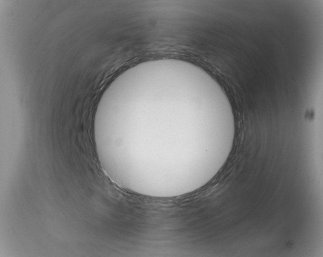 X0000113101249200908280944
