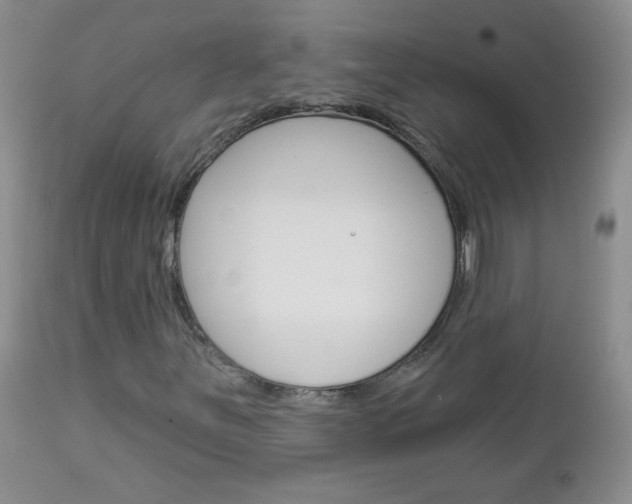 X0000113101251200908280944