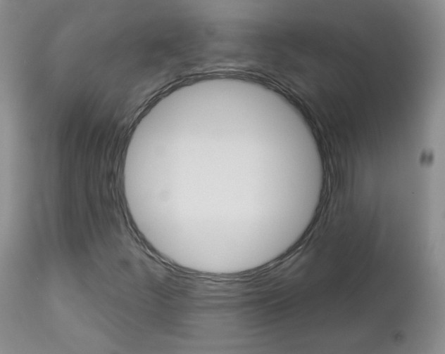 X0000113101252200908280944