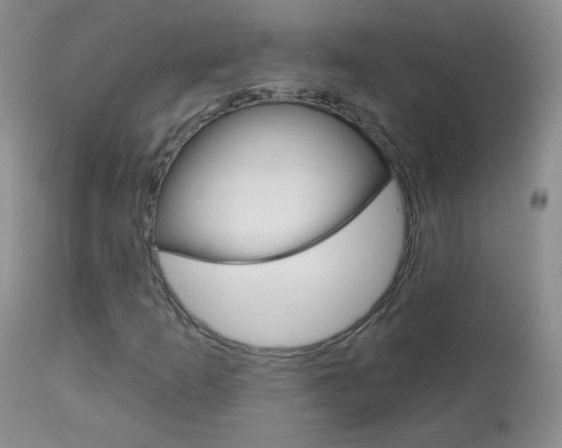 X0000113101253200908280944