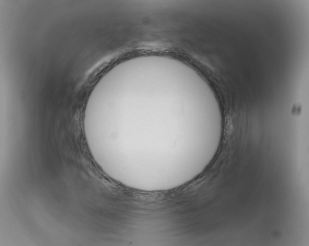 X0000113101254200908280944