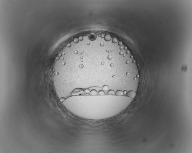 X0000113101255200908280944