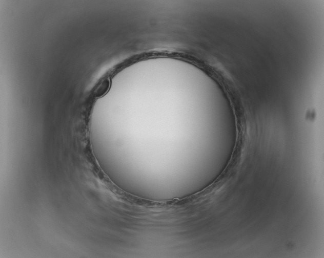 X0000113101256200908280944