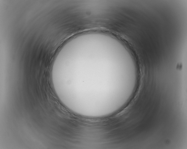 X0000113101257200908280944