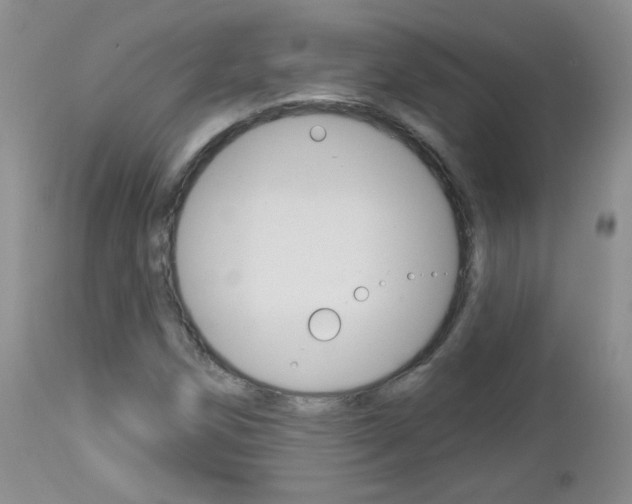 X0000113101258200908280944
