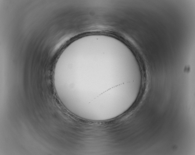 X0000113101259200908280944