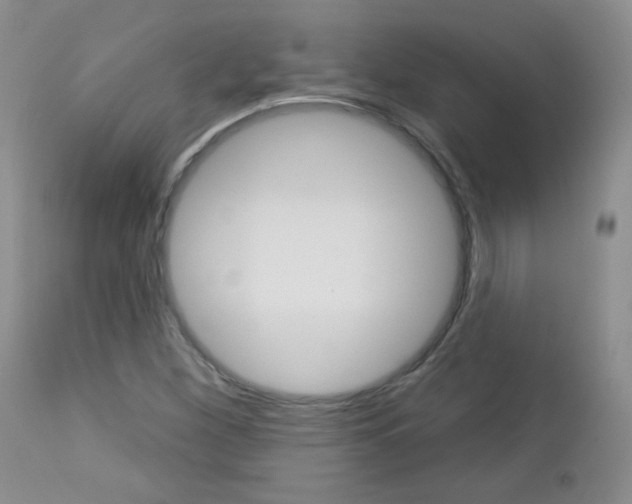 X0000113101260200908280944