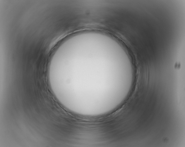 X0000113101261200908280944