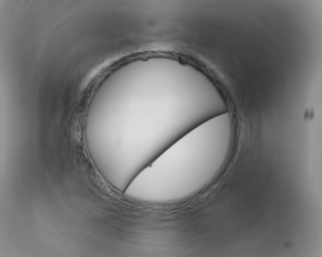 X0000113101262200908280944