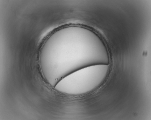 X0000113101263200908280944