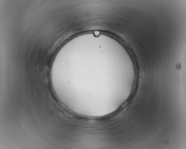 X0000113101265200908280944