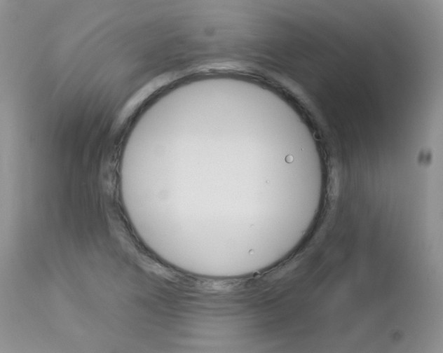 X0000113101266200908280943