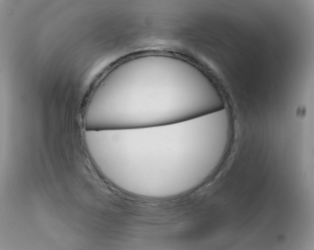 X0000113101267200908280943