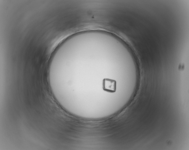 X0000113101269200908280943