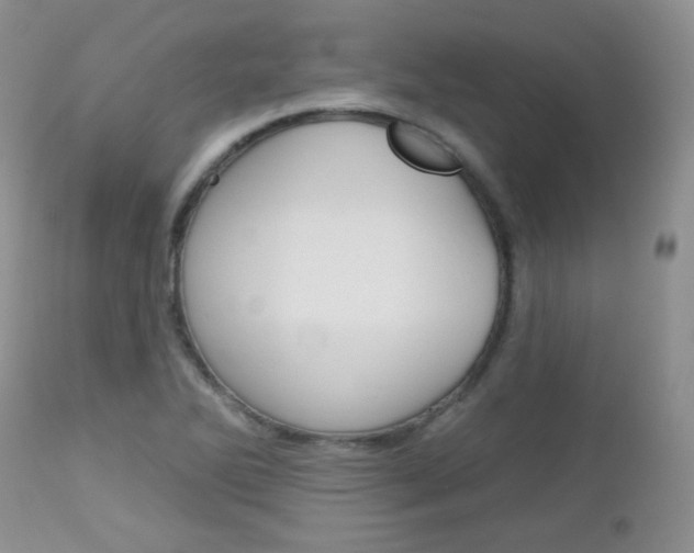 X0000113101270200908280943