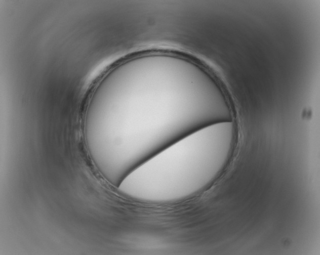 X0000113101271200908280943