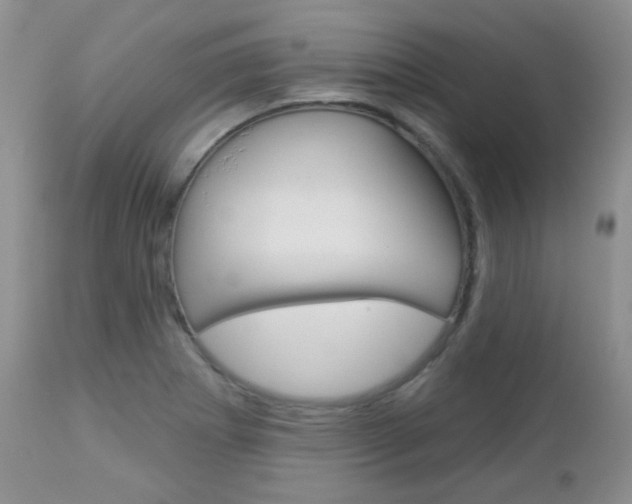 X0000113101273200908280943