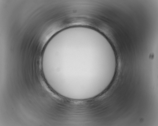X0000113101274200908280943