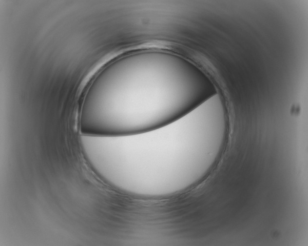 X0000113101276200908280943