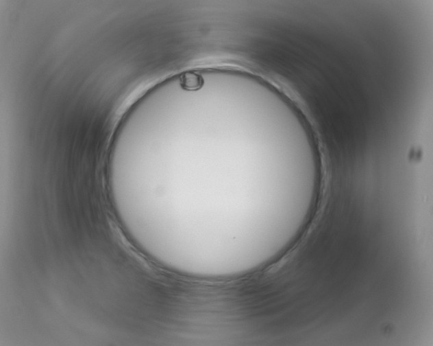 X0000113101277200908280943