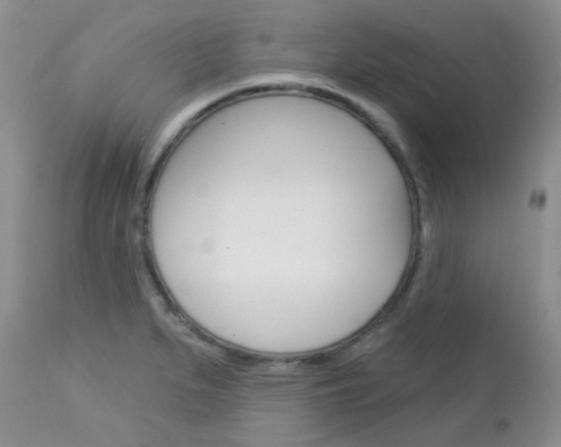 X0000113101279200908280943