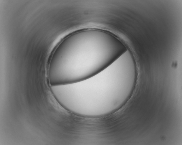 X0000113101280200908280943