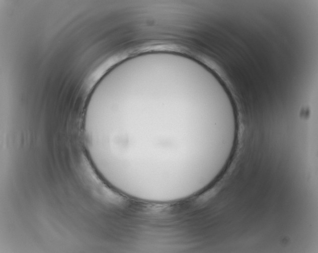 X0000113101282200908280943
