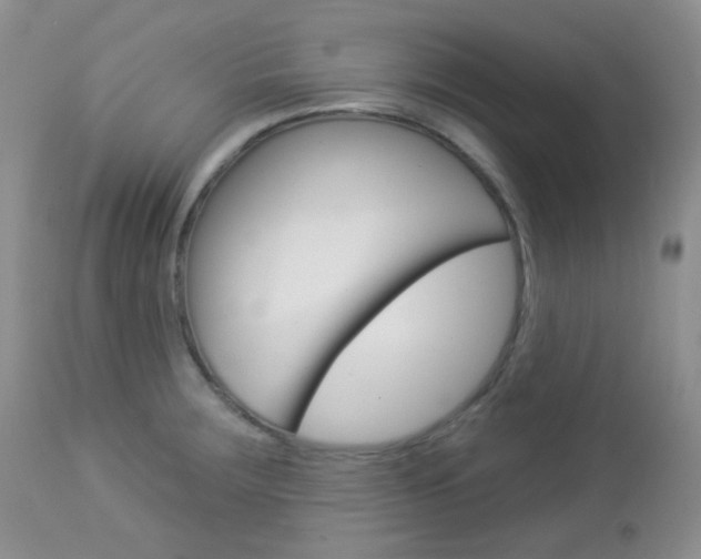 X0000113101283200908280943