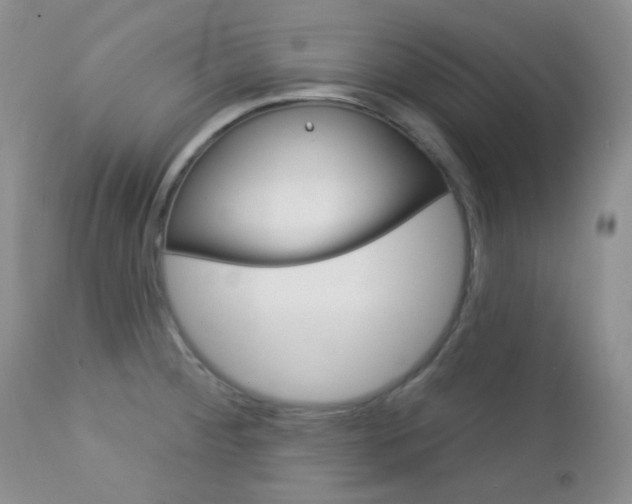 X0000113101284200908280943