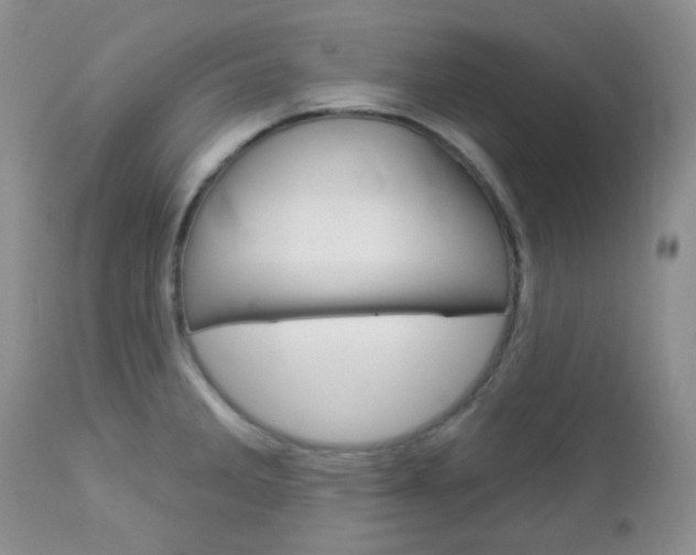 X0000113101285200908280943