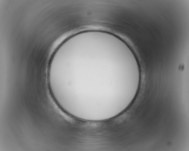 X0000113101286200908280943