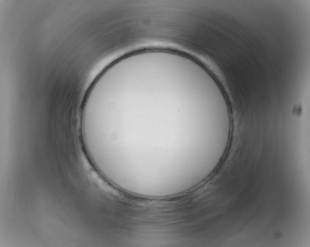 X0000113101287200908280943