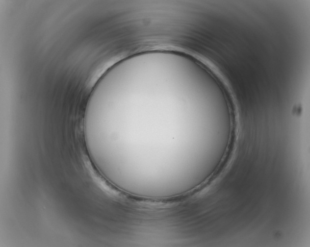X0000113101289200908280943