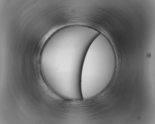 X0000113101291200908280943