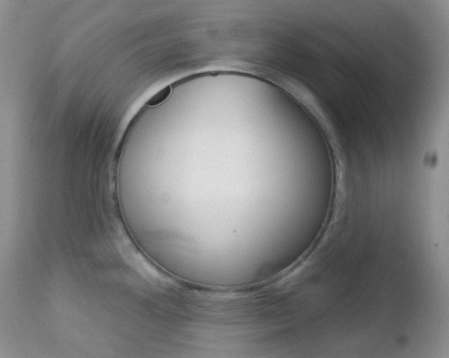 X0000113101292200908280943